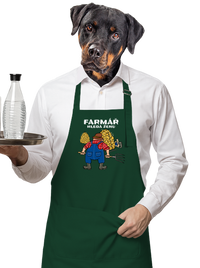 zástěra