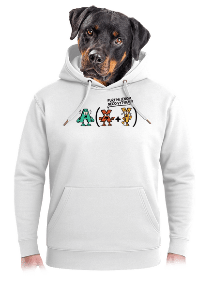 Vytýkání před závorku unisex mikina premium Snowwhite