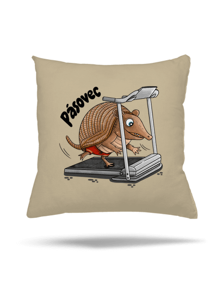 Pásovec polštář Beige