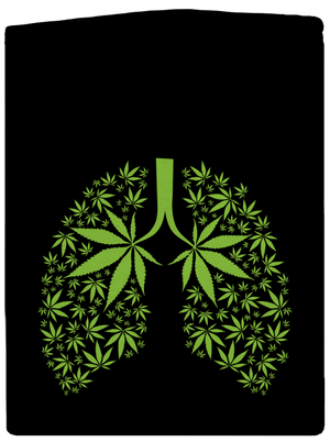 Ganja plíce pánská mikina na zip Black