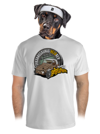 pánské sportovní tričko