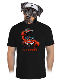 pánské sportovní tričko