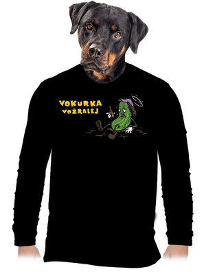 pánské dlouhý rukáv