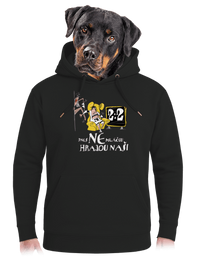 unisex mikina premium