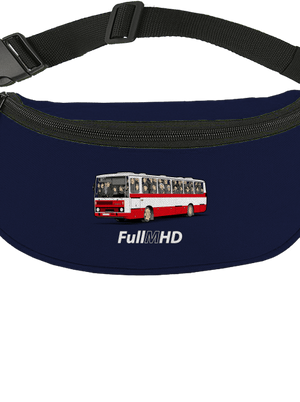 Full MHD ledvinka French Navy