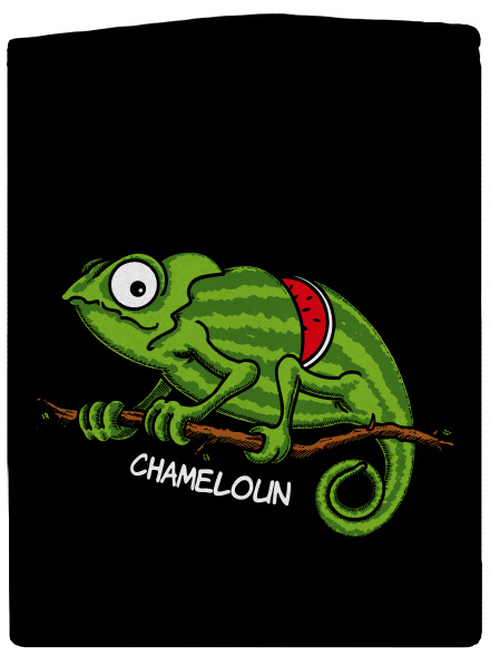 Chameloun dámská mikina na zip Black