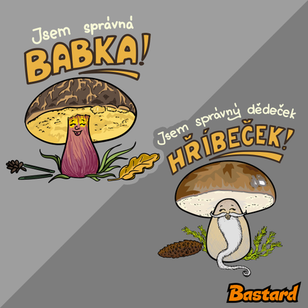 Babka a hříbeček