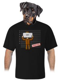 unisex tričko oversized