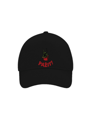 kšiltovka baseballka