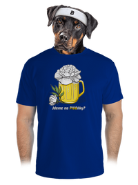 pánské sportovní tričko