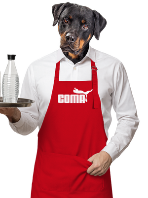 zástěra