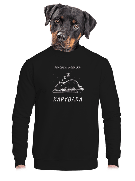 Pracovní morálka unisex mikina bez kapuce Black