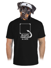 pánské sportovní tričko