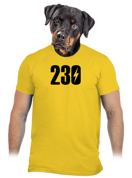 230 V pánské tričko Gold