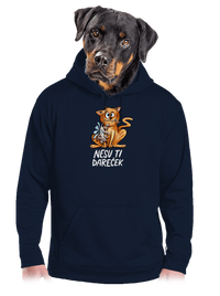 pánská mikina klokanka