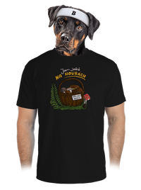 pánské sportovní tričko