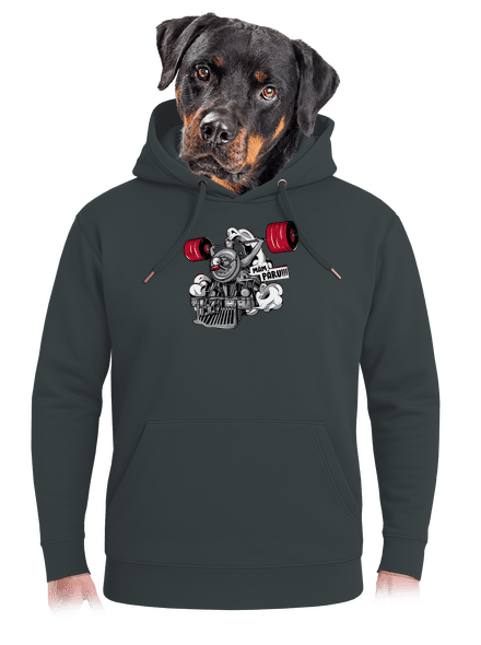 Lokomotiva unisex mikina premium Charcoal