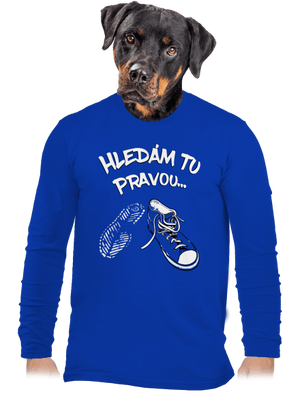 pánské dlouhý rukáv