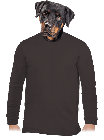 Bez potisku pánské dlouhý rukáv Bear Brown