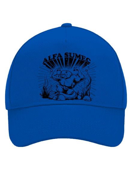 Alfasumec kšiltovka baseballka Bright Royal