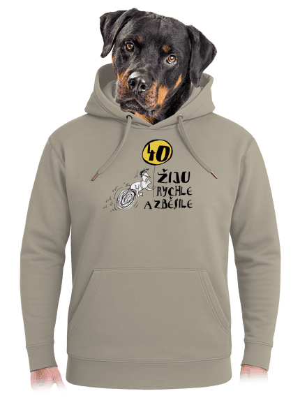 Žiju rychle a zběsile unisex mikina premium Pastel Macchiato