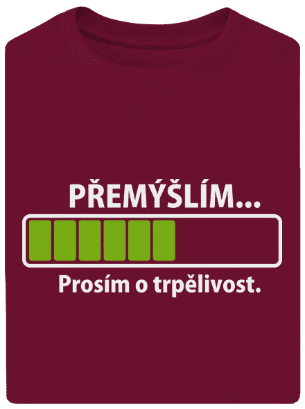 Přemýšlím unisex tričko oversized Garnet