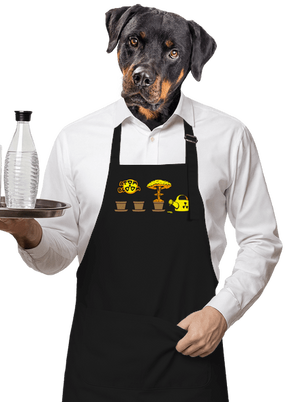 zástěra