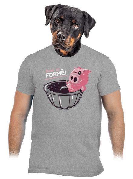 Ve formě pánské tričko Sport Grey