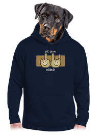 pánská mikina klokanka