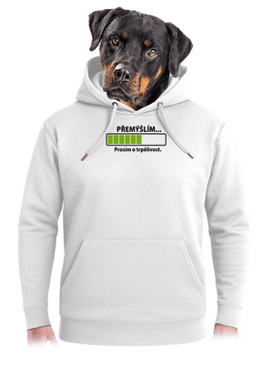 Přemýšlím unisex mikina premium Snowwhite