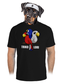 pánské sportovní tričko