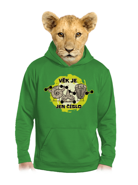 Věk je jen číslo dětská mikina klokanka Kelly Green AWD