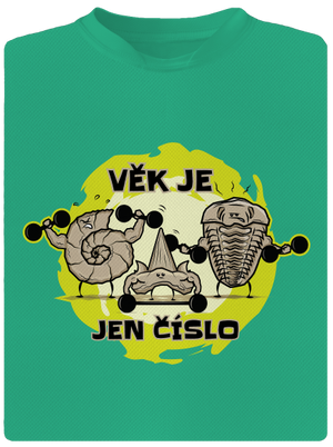 Věk je jen číslo pánské sportovní tričko Mint Mal