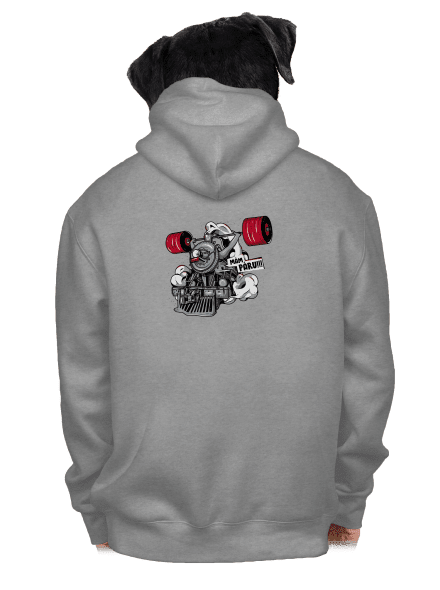 Lokomotiva pánská mikina na zip Light Melange
