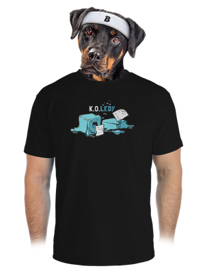 pánské sportovní tričko