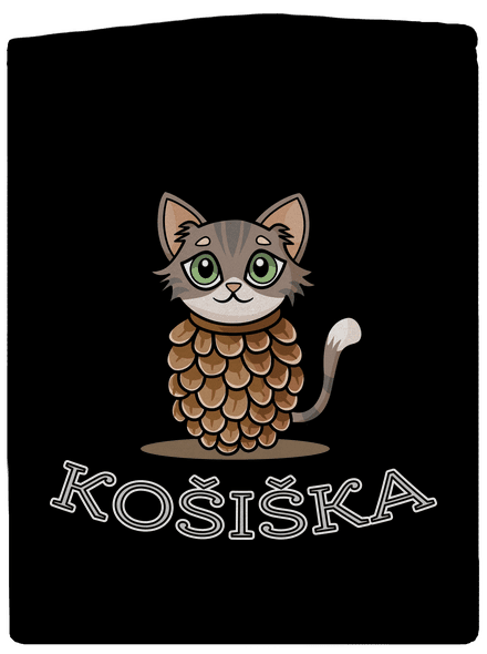 Košiška pánská mikina na zip Black