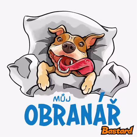Můj obranář