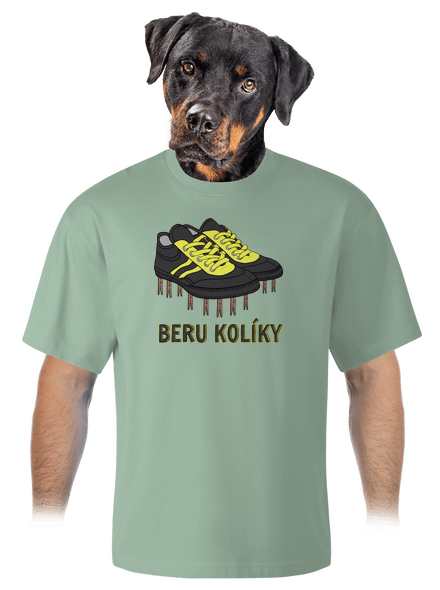 Beru kolíky unisex tričko oversized Sage