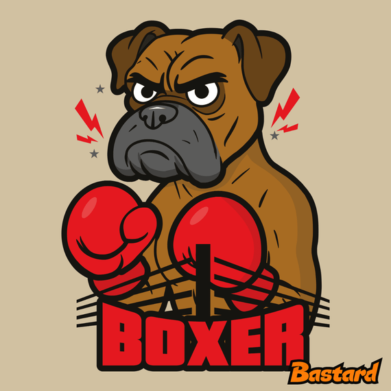 Boxer