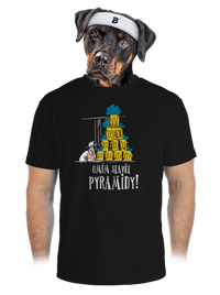 pánské sportovní tričko