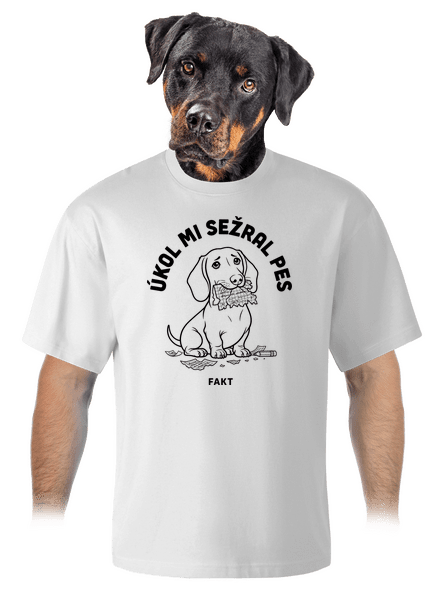 Úkol sežral pes unisex tričko oversized White