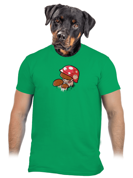 Hřib pánské tričko Kelly Green