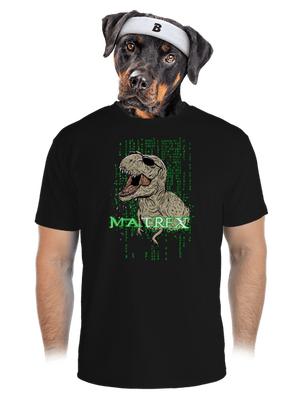 pánské sportovní tričko