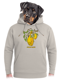 unisex mikina premium