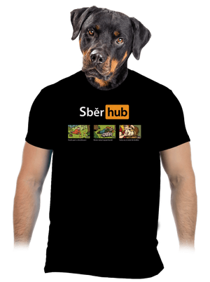 Sběr hub pánské tričko Black