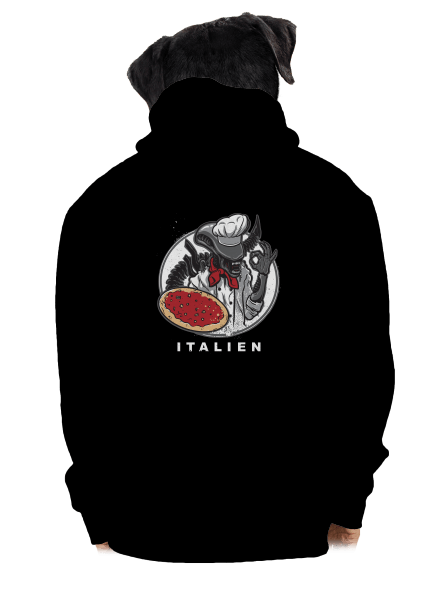 Italien pánská mikina na zip Black