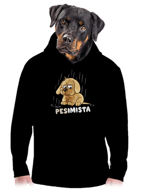 pánská mikina klokanka