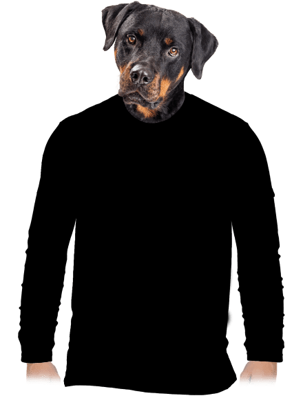 Bez potisku pánské dlouhý rukáv Black