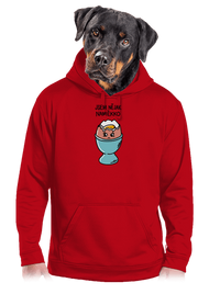 pánská mikina klokanka