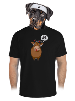 pánské sportovní tričko